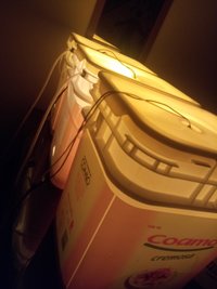20190911_060814.jpg