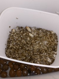 20190915_104925.jpg
