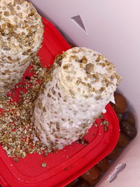20190915_105756.jpg