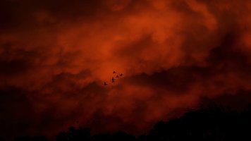 what-if-evil-does-befall-me-qvhjfgw7-494bf976a019c2785f7055eef1570161.jpg