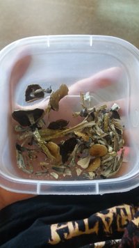 20190910_143705.jpg