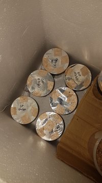 IMG-20190917-WA0102.jpeg
