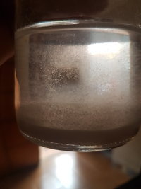 20190920_072645.jpg