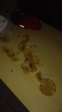 IMG_20190920_172456204.jpg