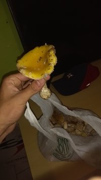 IMG-20190920-WA0006.jpeg