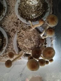 IMG-20190921-WA0005.jpg