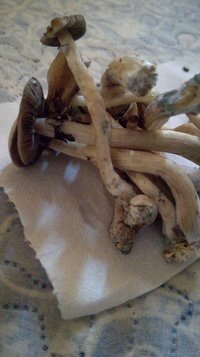 IMG-20190922-WA0003.jpg