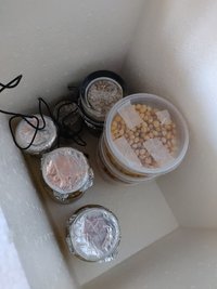 IMG_20191005_121410.jpg