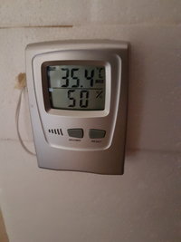 20191006_165302.jpg