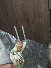 IMG_20191007_231407.jpg
