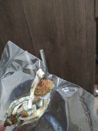 IMG_20191007_231352.jpg