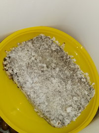 20191008_022332.jpg