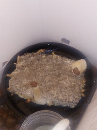 20191008_214741.jpg