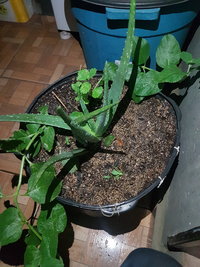 20191008_201109.jpg