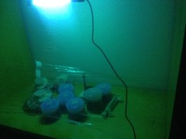 IMG_5489.JPG