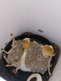 20191009_220456.jpg