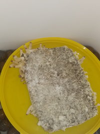 20191010_010248.jpg