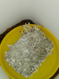 20191010_104829.jpg