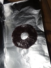 20191014_185402.jpg