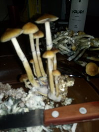 20191023_184243.jpg