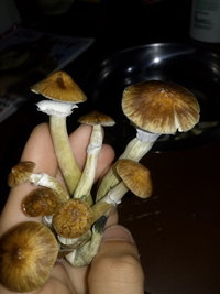 20191016_093459.jpg