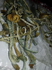 20191030_202859.jpg