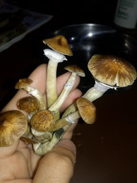 20191016_093454.jpg