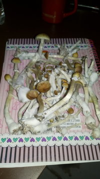 IMG-20191030-WA0017.jpeg