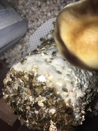 78E03288-7B17-46DD-876E-D2E1CE2199E0.jpeg