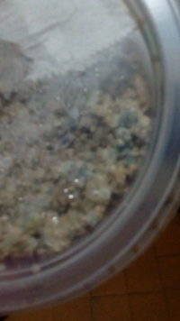 IMG-20191105-WA0052.jpeg