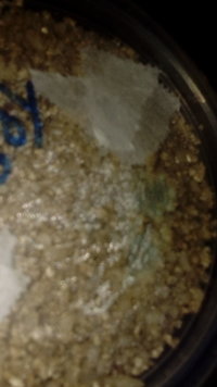 IMG-20191105-WA0045.jpeg