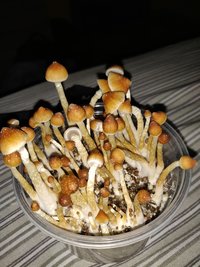 IMG_20191111_183949.jpg