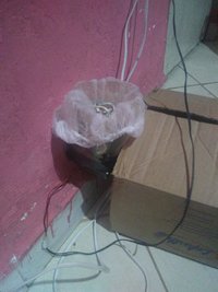IMG_20191117_114054869.jpg