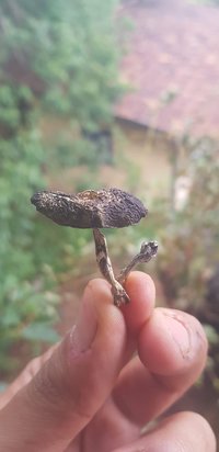 20191119_140557.jpg