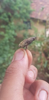 20191119_140608.jpg