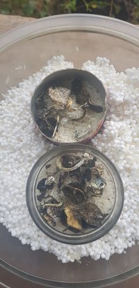 20191119_140619.jpg