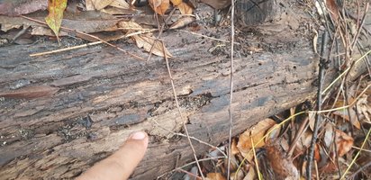 20191119_160218.jpg