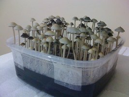 IMG_0414.JPG