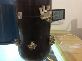 image-5.jpg