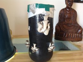 image-9.jpg