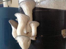 image-10.jpg