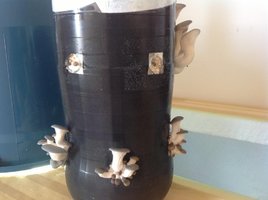 image-11.jpg