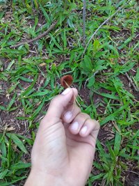 IMG_20191201_054905111.jpg