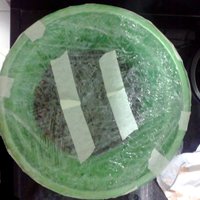 tks-lupelius006.jpg