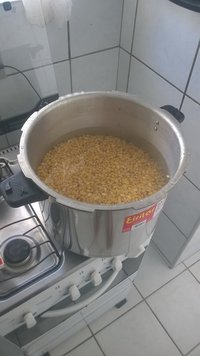 salmao003.jpg