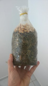 salmao014.jpg