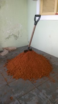 djamor11.jpg