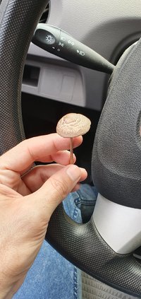 20191203_101721.jpg