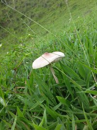 20191205_135805_Richtone(HDR).jpg