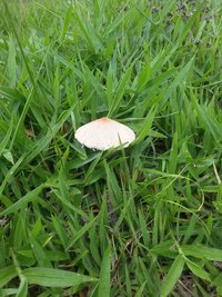 20191205_135740_Richtone(HDR).jpg